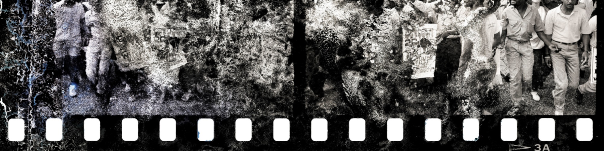 IN PICTURE '26: The Cape Town Photography Festival Fundraising Auction